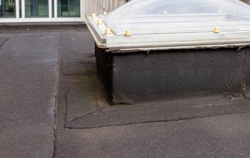 disadvantages of Treffynnon flat roofs