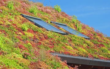 Treffynnon living roof systems