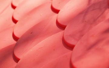 Treffynnon plastic roof costs