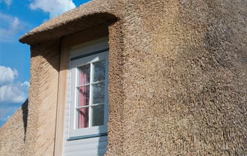 Treffynnon thatch roof disadvantages