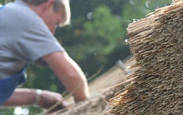 professional Treffynnon thatchers