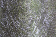 Treffynnon fibreglass roof work